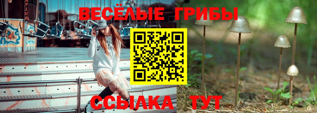 Балашиха  Псилоцибиновые грибы мицелий  Вход с VPN  Галлюциногенные грибы Cubensis 