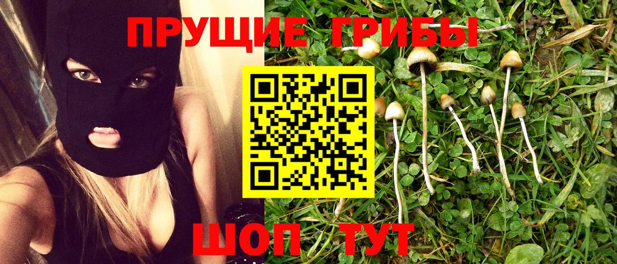 Псилоцибиновые грибы мицелий Балашиха